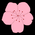 祼女直播app最新版